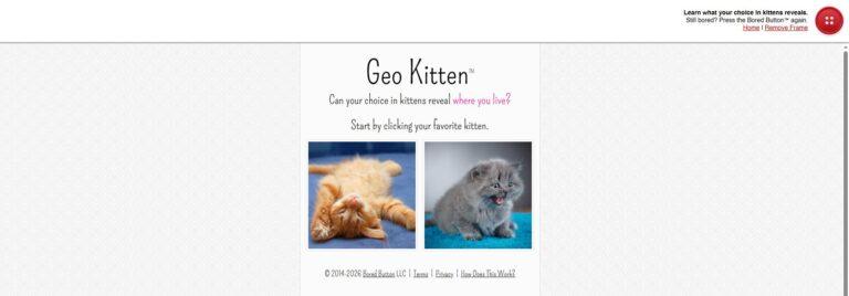 bored button - geo kitten